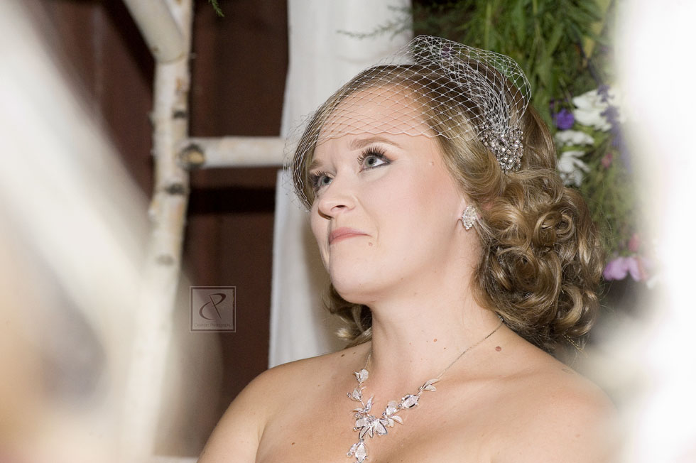TraverseCityWeddingPhotographer16
