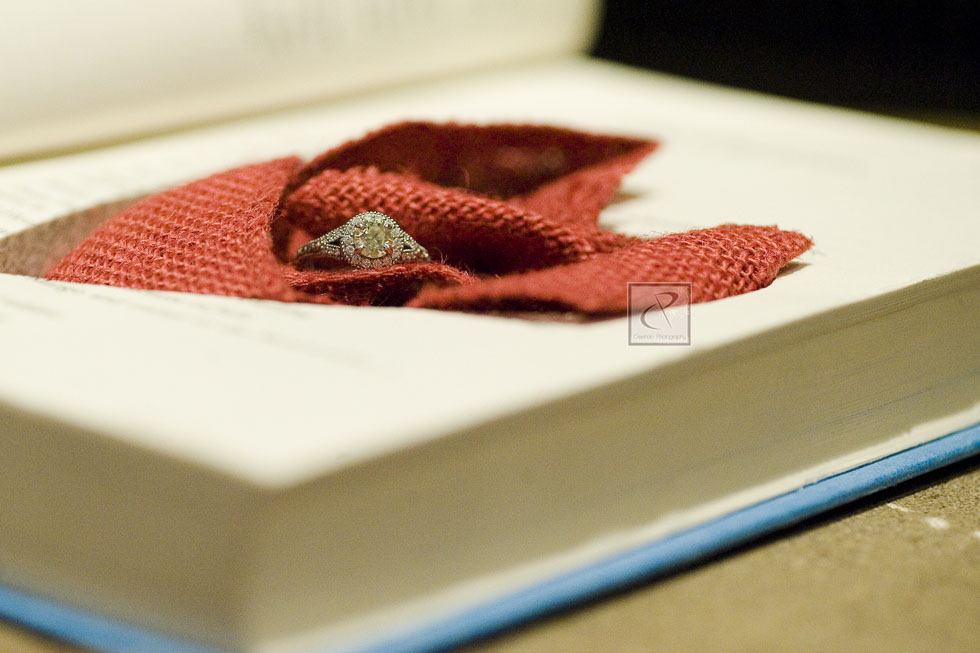 TraverseCityWeddingPhotographer8