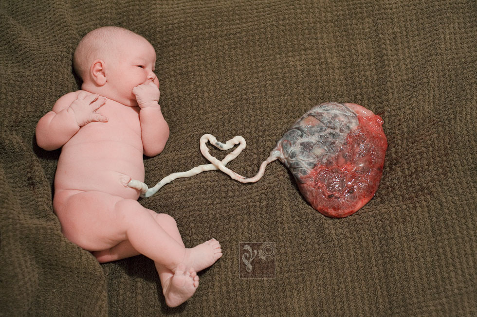 TCbirthphotgrapherH15