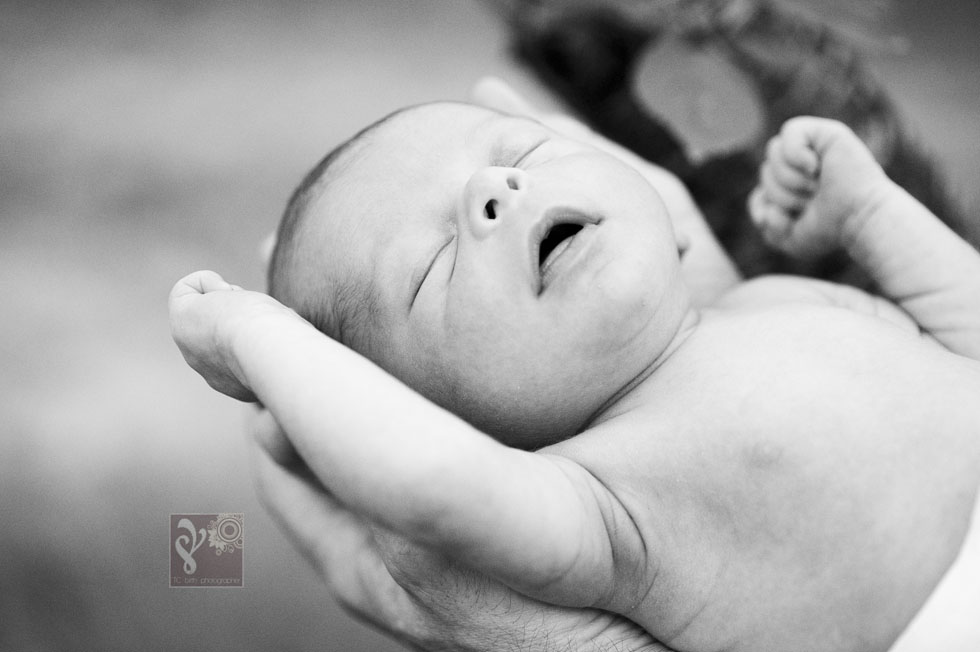 TCnewbornphotographerDF17