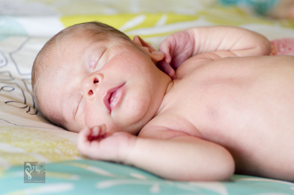 TCnewbornphotographerDF4