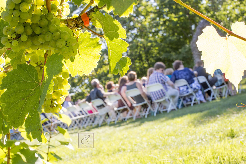 tcweddingphotographer04