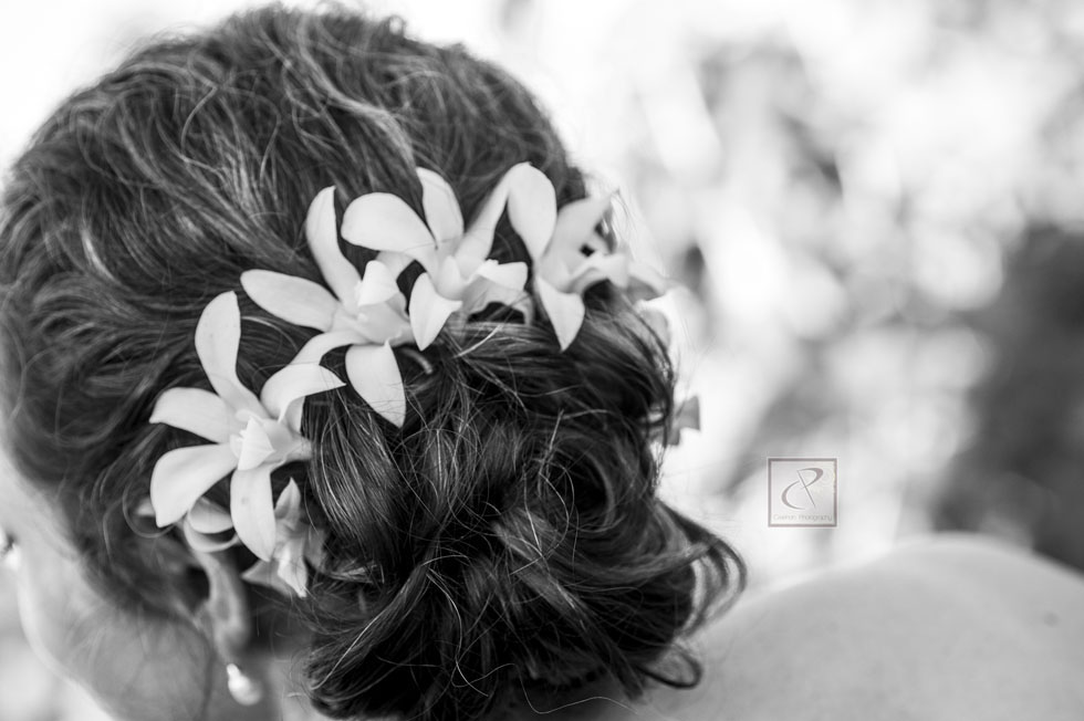 tcweddingphotographer24
