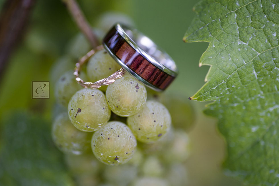 tcweddingphotographer25